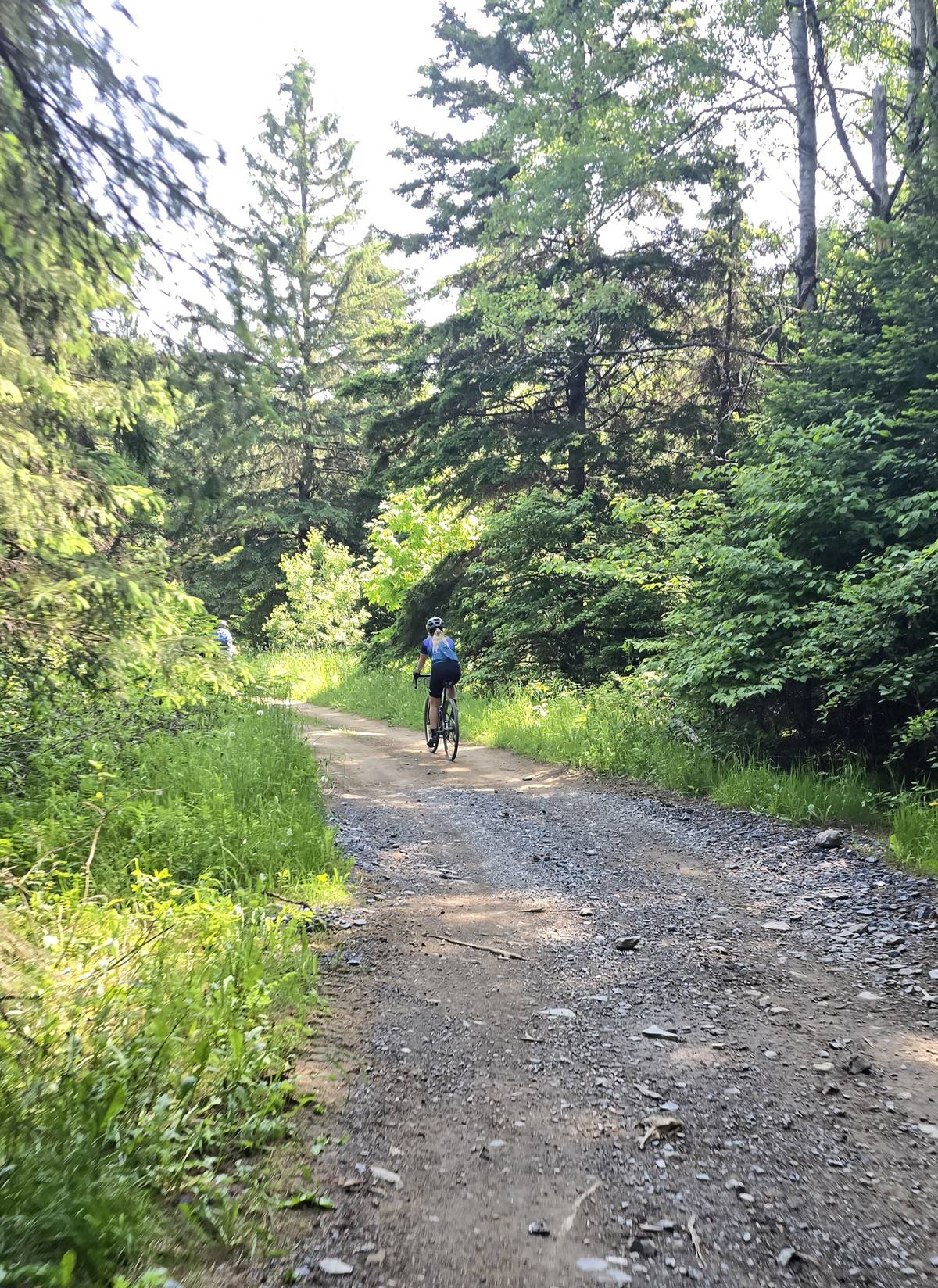 Gravel trail through the woods in Easton, Maine